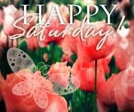Happy Saturday