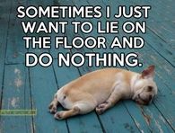 lie on the floor and do nothing