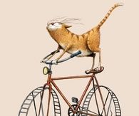 playing cat & mouse