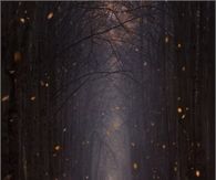 Beautiful Autumn