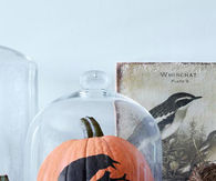 No carve raven pumpkin