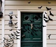 Bat filled front door