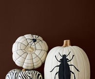 Black and white painted pumpkins