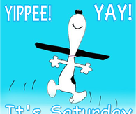 Yippee! Yay! It's Saturday!