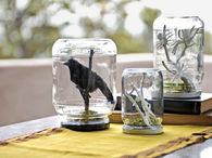 Spooky terrariums