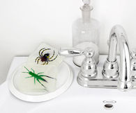 Bug soaps