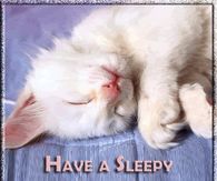 Have a sleepy Saturday