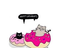 Happy Caturday