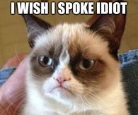 I wish I spoke idiot