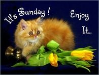 It's Sunday Enjoy It