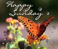 Happy Sunday
