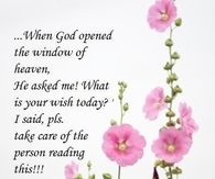 When God opened the window of Heaven....