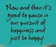 Now and then it's good to pause in our pursuit of happiness and just be happy