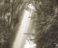 Autumn light
