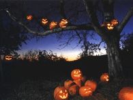 Pumpkins at Night