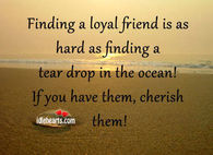 A loyal friend