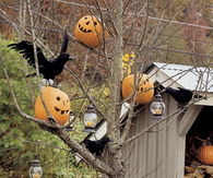 Pumpkins in tree