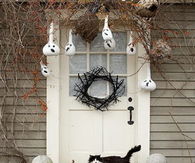 Pumpkins, Ghosts & a Scary Cat