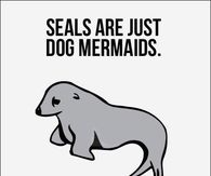 Seals are