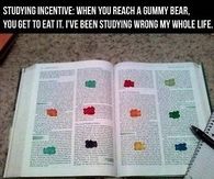 Reading incentives