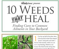 10 Weeds That Heal