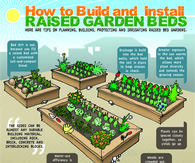 How To Build Raised Garden Beds