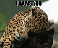 I wuvs you