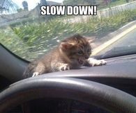Slow down 