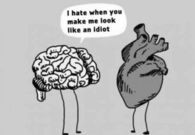 Brain tells the Heart