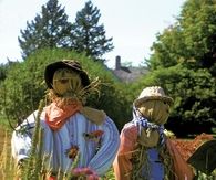 Scarecrows for the Garden