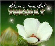 have a beautiful Tuesday