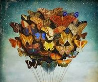 Butterfly Balloon