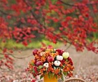 Fruits of Autumn
