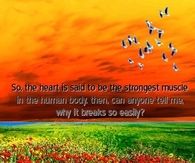 So the heart is said to be the strongest in the human body...