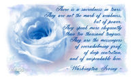 There is a sacredness in tears....