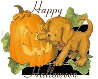 Happy Halloween