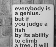everybody is a genius