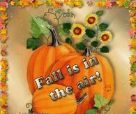 Fall is in the air