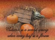 Autumn is a second spring when every leaf is a flower