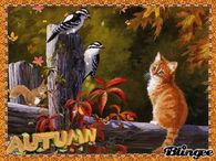 Autumn