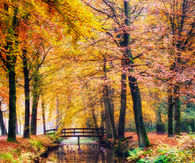 Golden Bridge