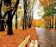 Park in Autumn