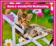Have a wonderful Wednesday