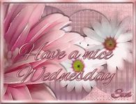 Have a nice Wednesday