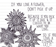 Love is about appreciation