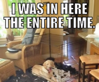 I was here the entire time