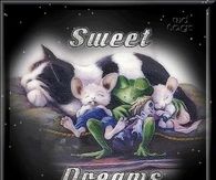 Sweet Dreams