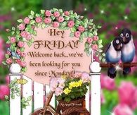 welcome back Friday