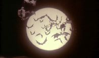 Bats in the full moon