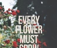 Every flower must grow through dirt